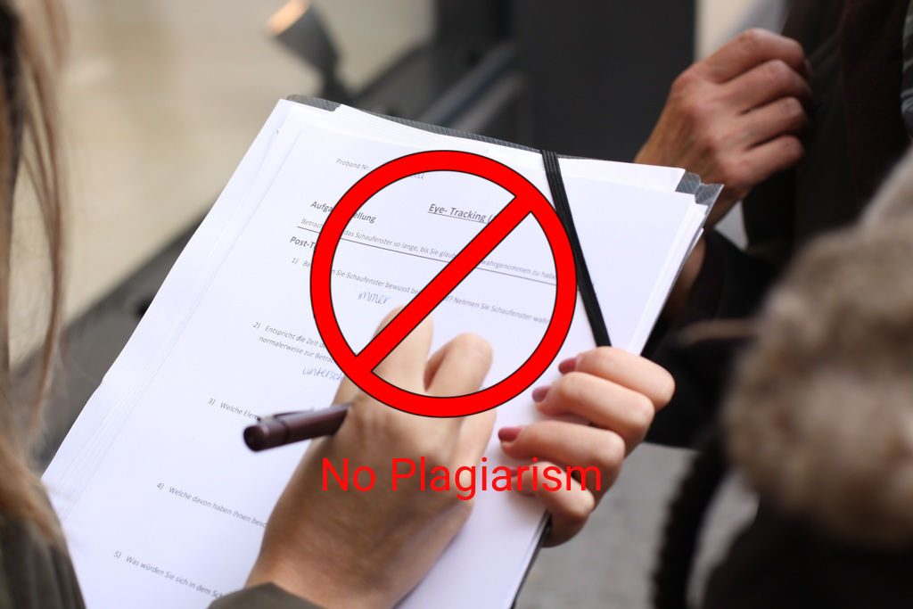 Accidental plagiarism dissertation image